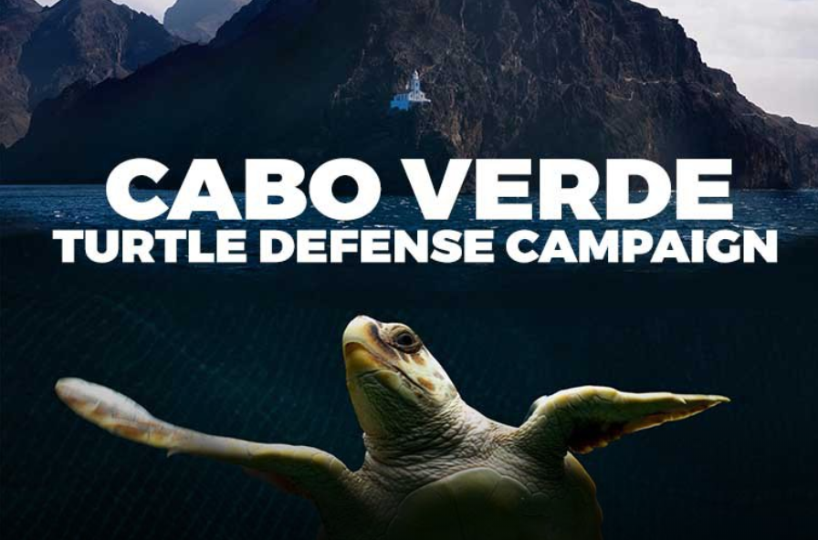 Sea Shepherd - Cabo Verdi - 896x592