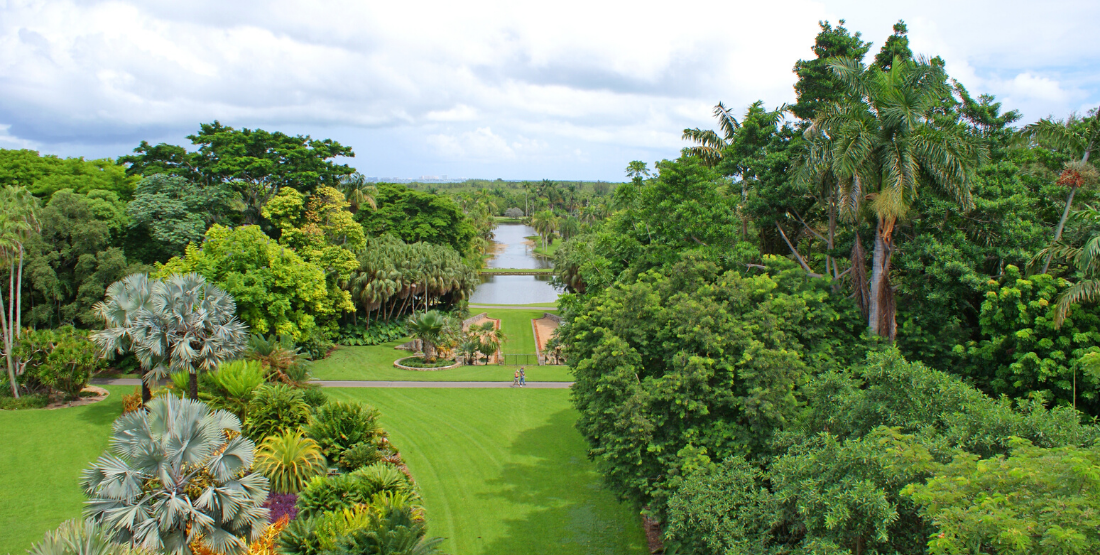 Fairchild Botanical Garden - IGY One Park Miami - 1100x555