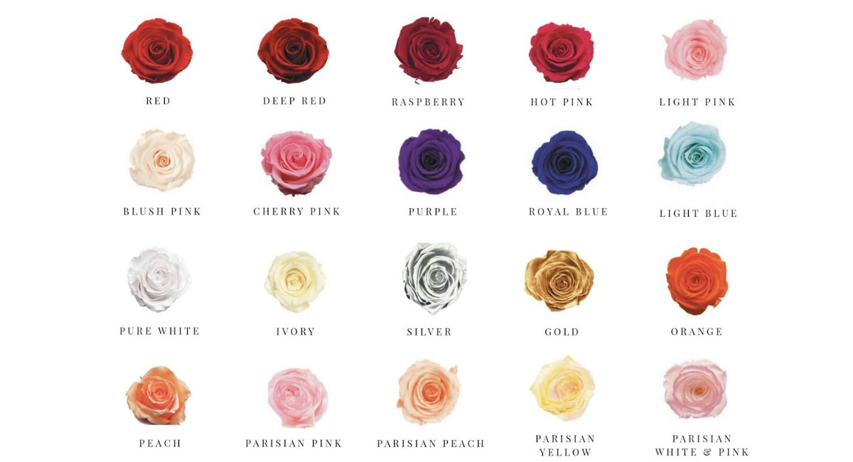 The Roses Empire Rose Colours