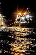 Sea Shepherd France NightTrawlers thumb Tara Lambourne