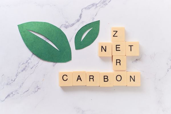 Zero Net Carbon Peter Franklin