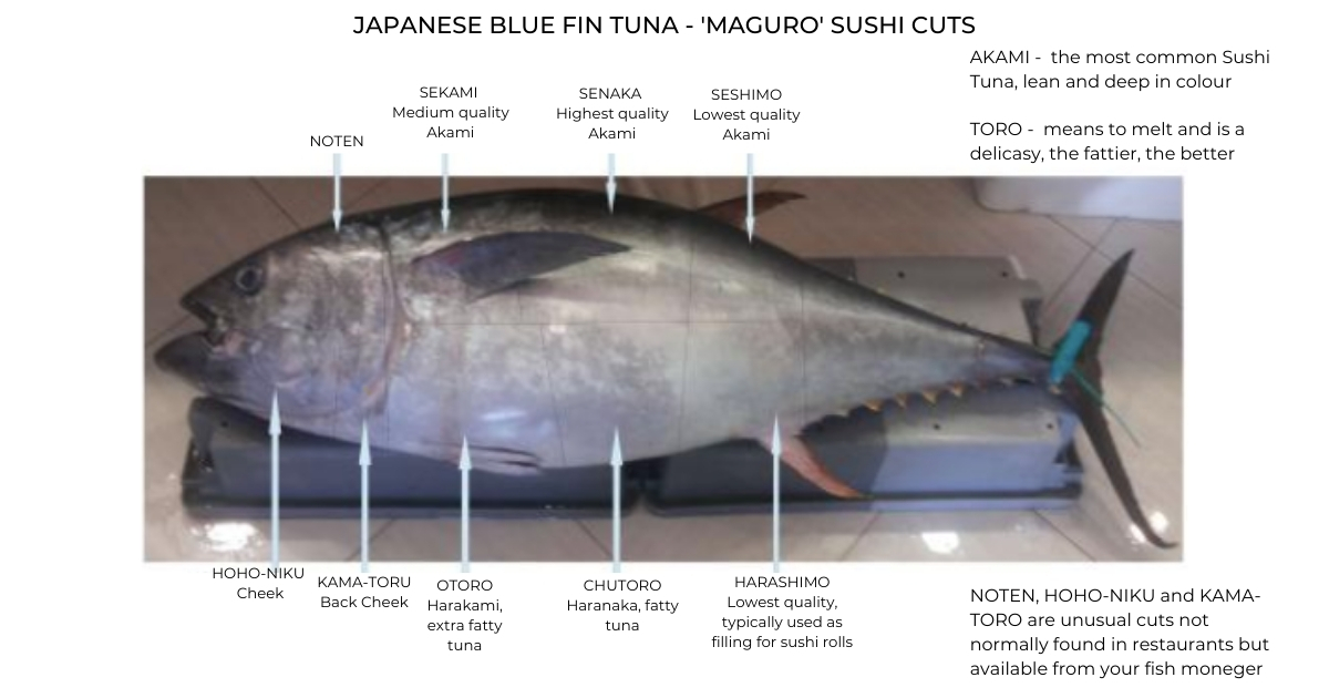 blue fin tuna diagram 1200X630