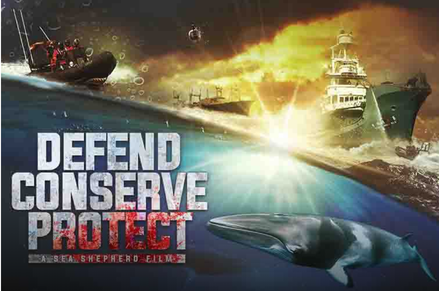 Sea Shepherd - Defend Conserve Protect - 899x539