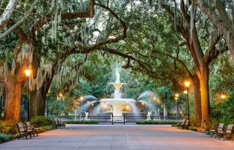 Savannah Fountain 2