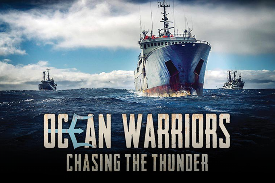 Sea Shepherd - Ocean Warriors - 897x678