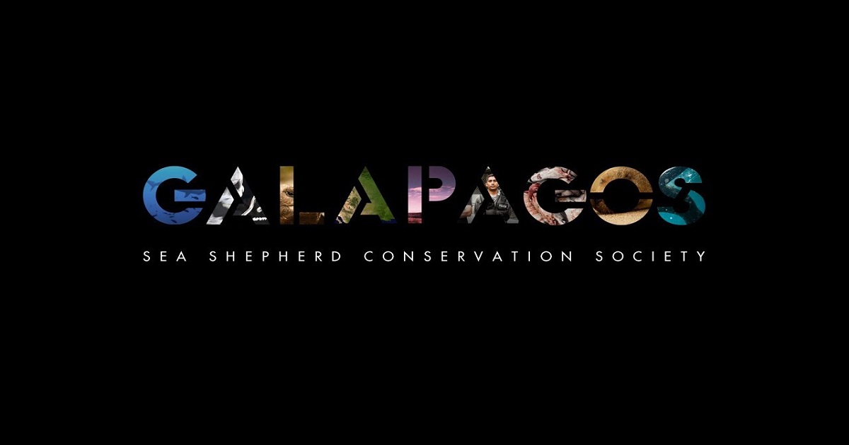 Galapagos Sea Shepherd