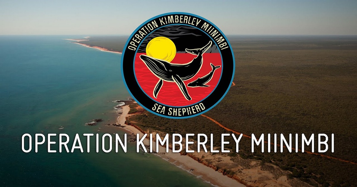 Operation Kimberley Miinimbi Sea Shepherd