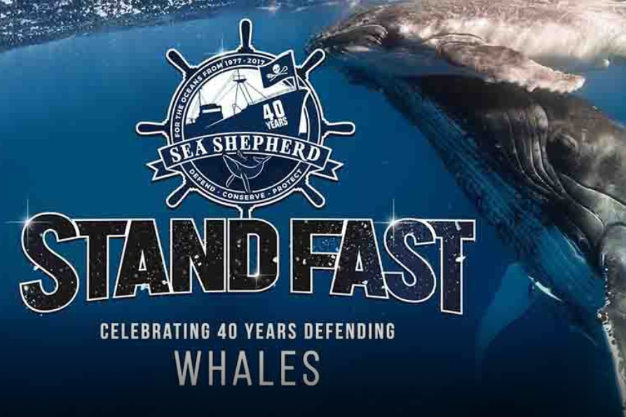 Sea Shepherd - Standfast - 893x595