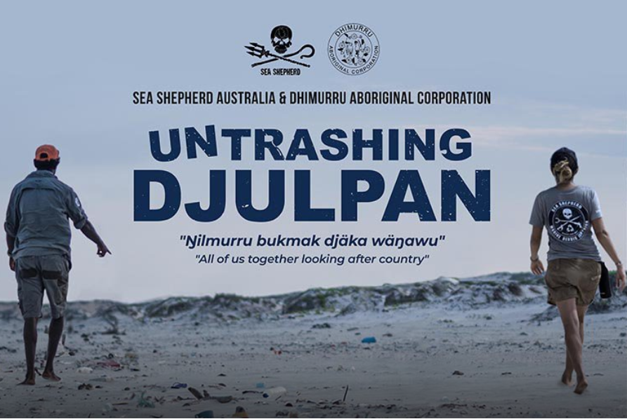 Sea Shepherd - Untrashing Djulpan - 893x598