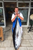 Blue Fin Tuna 80kg original 140