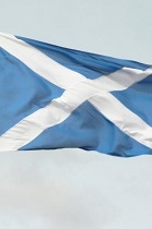 Scottish Flag detailthumbnail