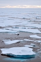 arctic sea