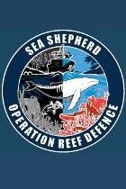 operation reef defence 2