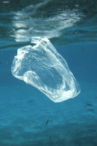 plastic pollution bag NOAA photo library thumbnail2