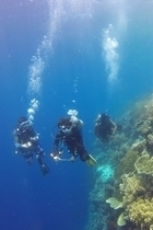 scuba diving picryl public domain