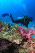 scuba diving thumb
