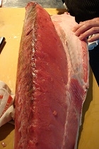 tuna belly profile crop