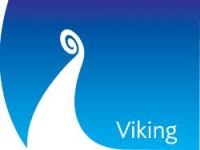 viking logo43